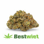 Jet Fuel Gelato